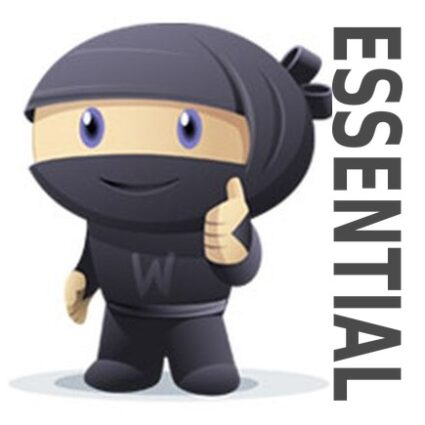 Essential Website Maintenance