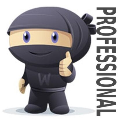 Professional Website Maintenance